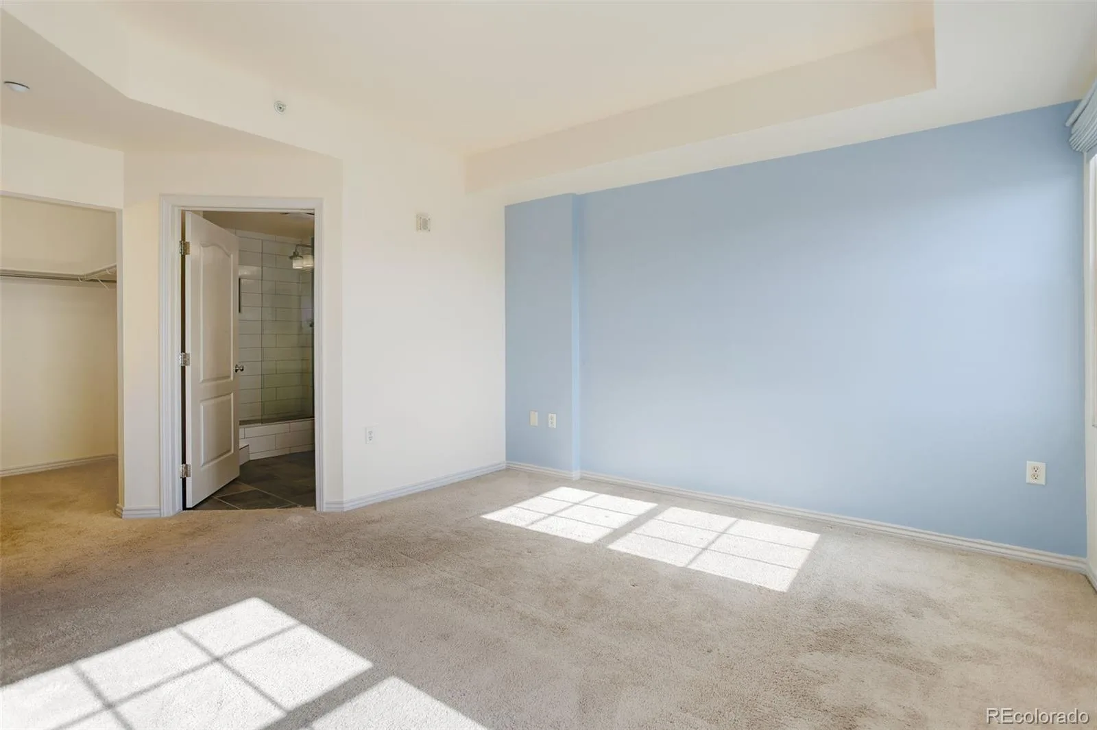 300 W 11th Avenue #17B Denver CO 80204 MLS #REC3320876 07032026043658 1600 29