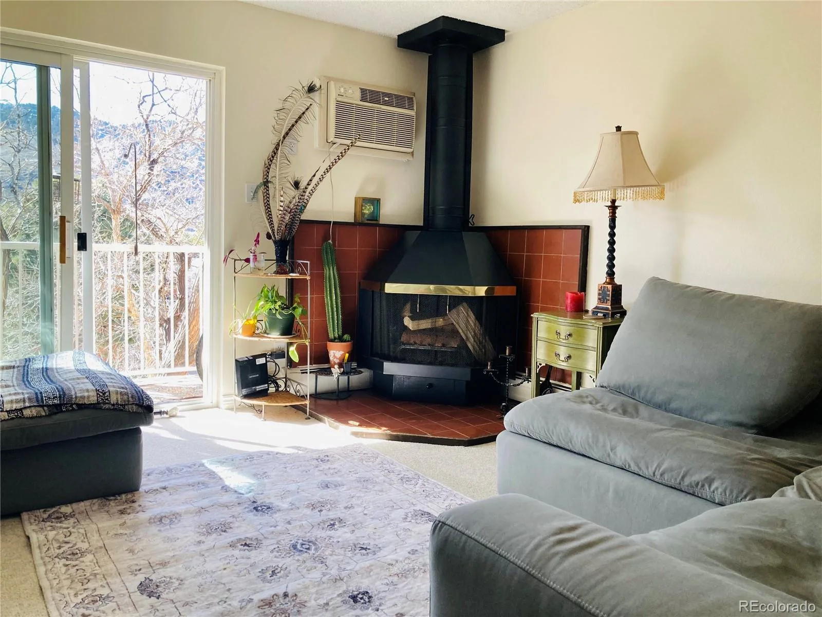 501 Golden Circle #303 Golden CO 80401 | MLS #REC3324679 07212026192742 1600 3