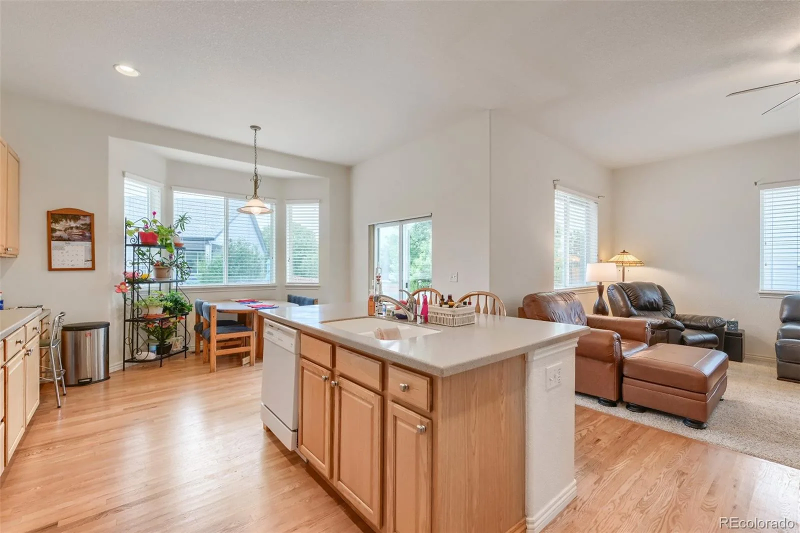 884 Taylor Lane Erie CO 80516 | MLS #REC3325357 07302026221710 1600 11
