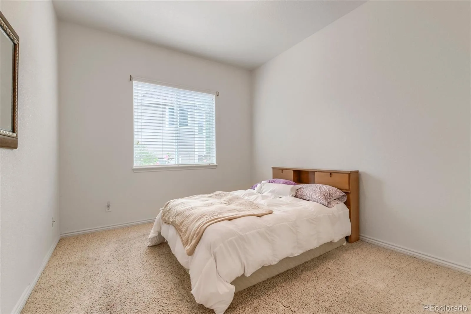 884 Taylor Lane Erie CO 80516 | MLS #REC3325357 07302026221710 1600 22