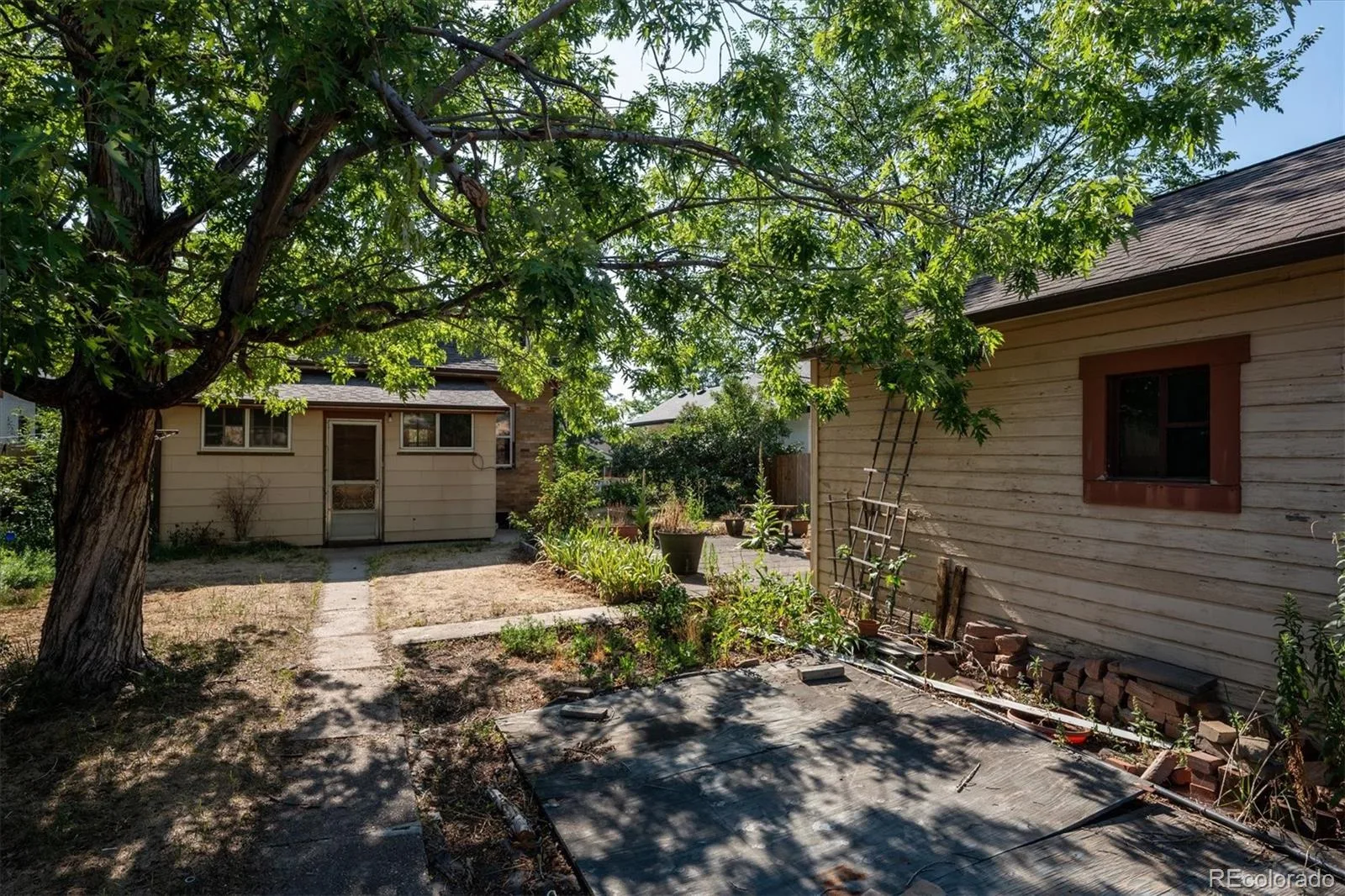 4271 Green Court Denver CO 80211 MLS #REC3331108 07022026234358 1600 25