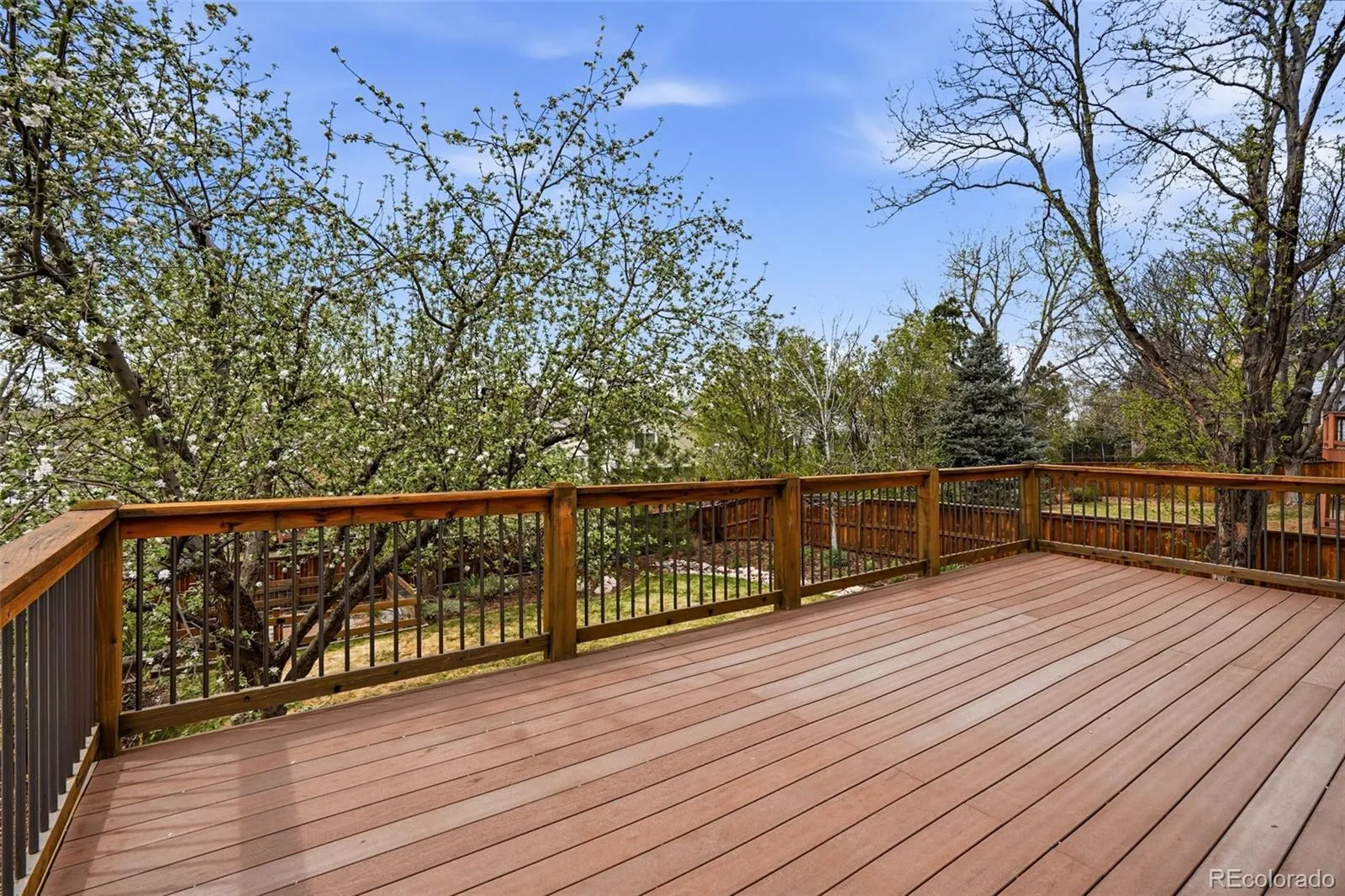 04172026221306 1600 20