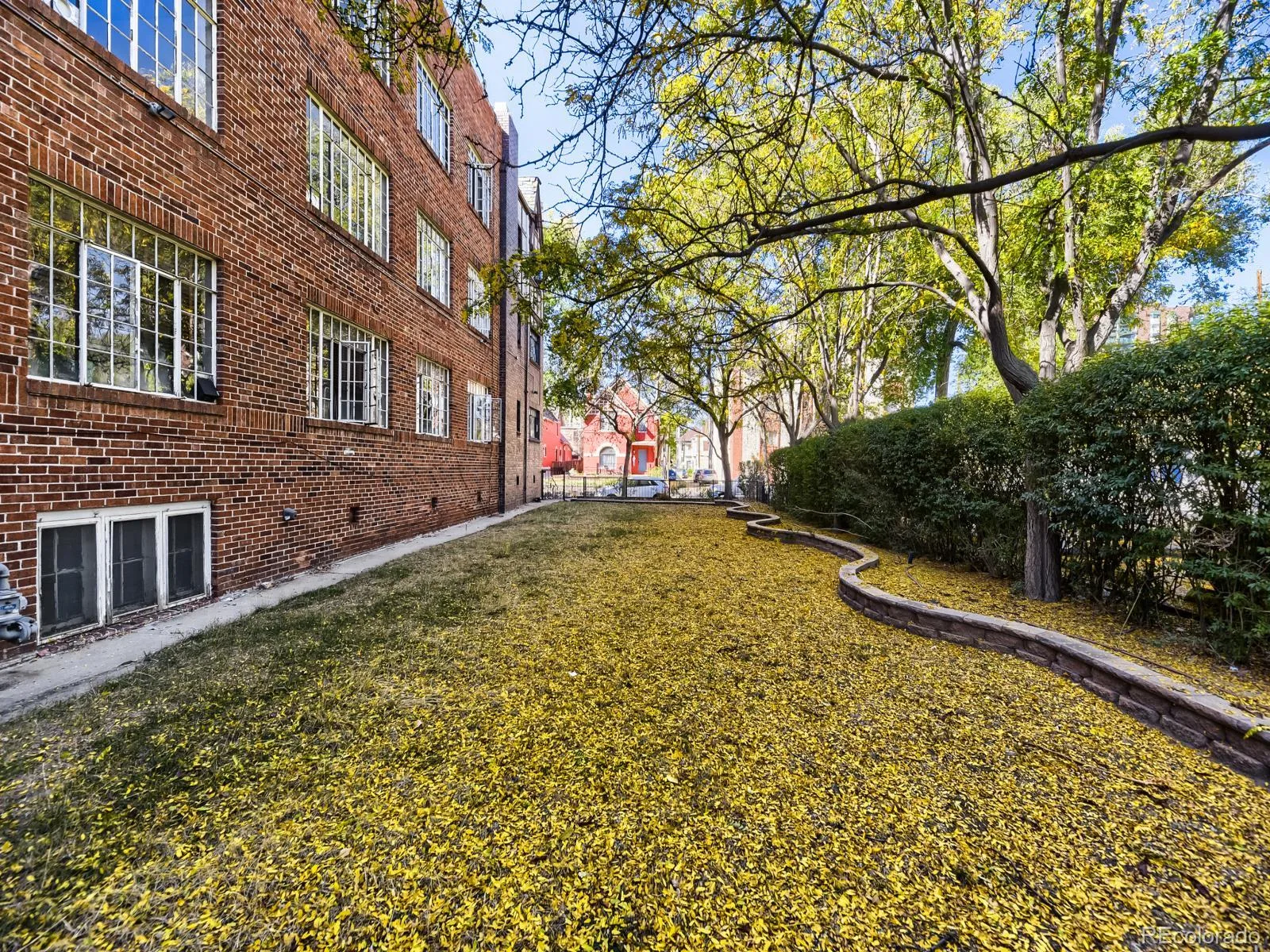 1050 N Washington Street #205 Denver CO 80203 | MLS #REC3343078 10162026071237 1600 21