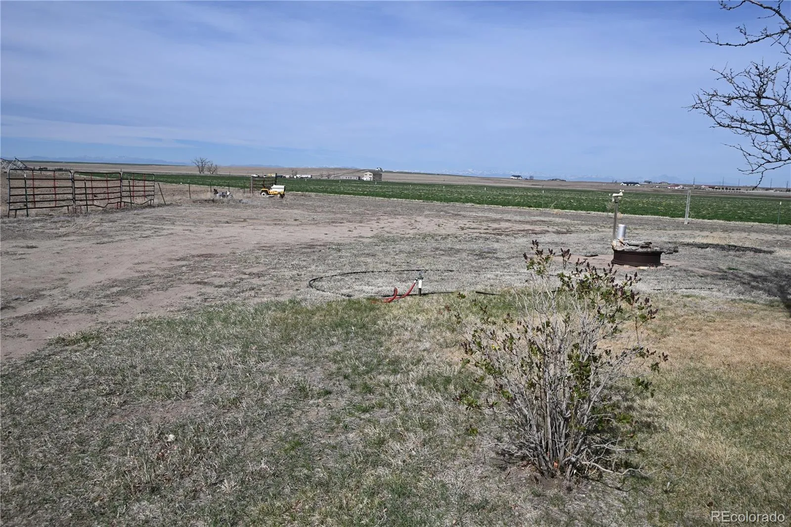 13675 Lanewood Brighton CO 80603 | MLS #REC3344352 05092026022907 1600 4