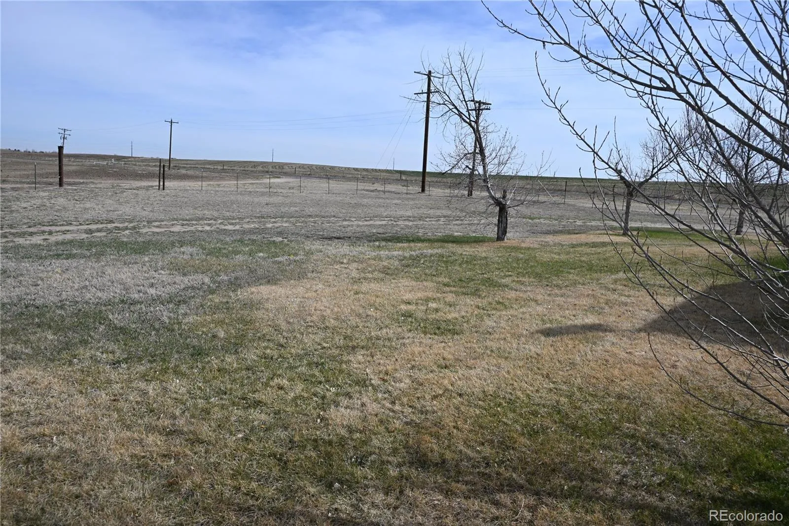 13675 Lanewood Brighton CO 80603 | MLS #REC3344352 05092026022907 1600 5