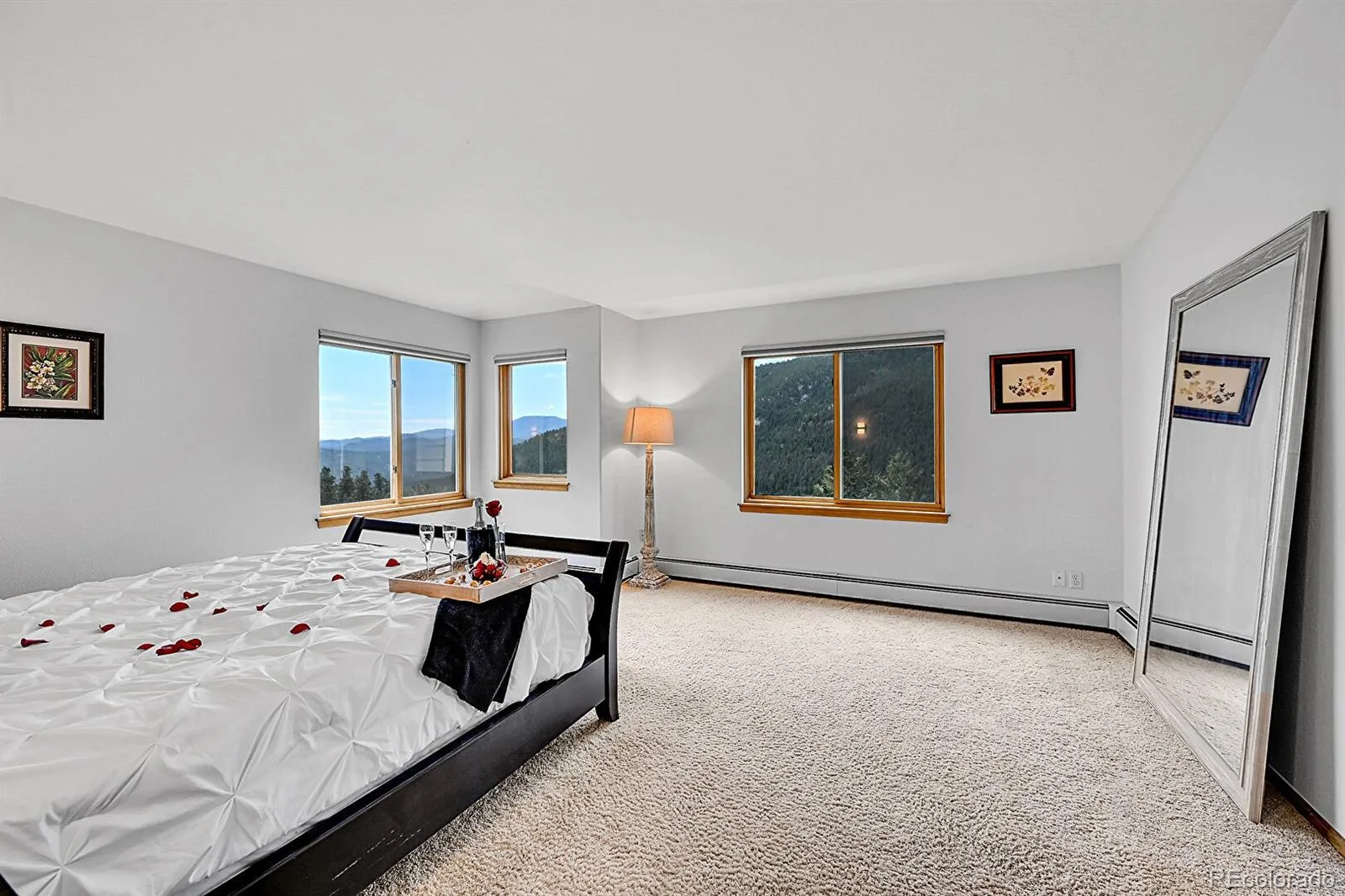 54 Spruce Court Evergreen CO 80439 | MLS #REC3344414 06092026001902 1600 25