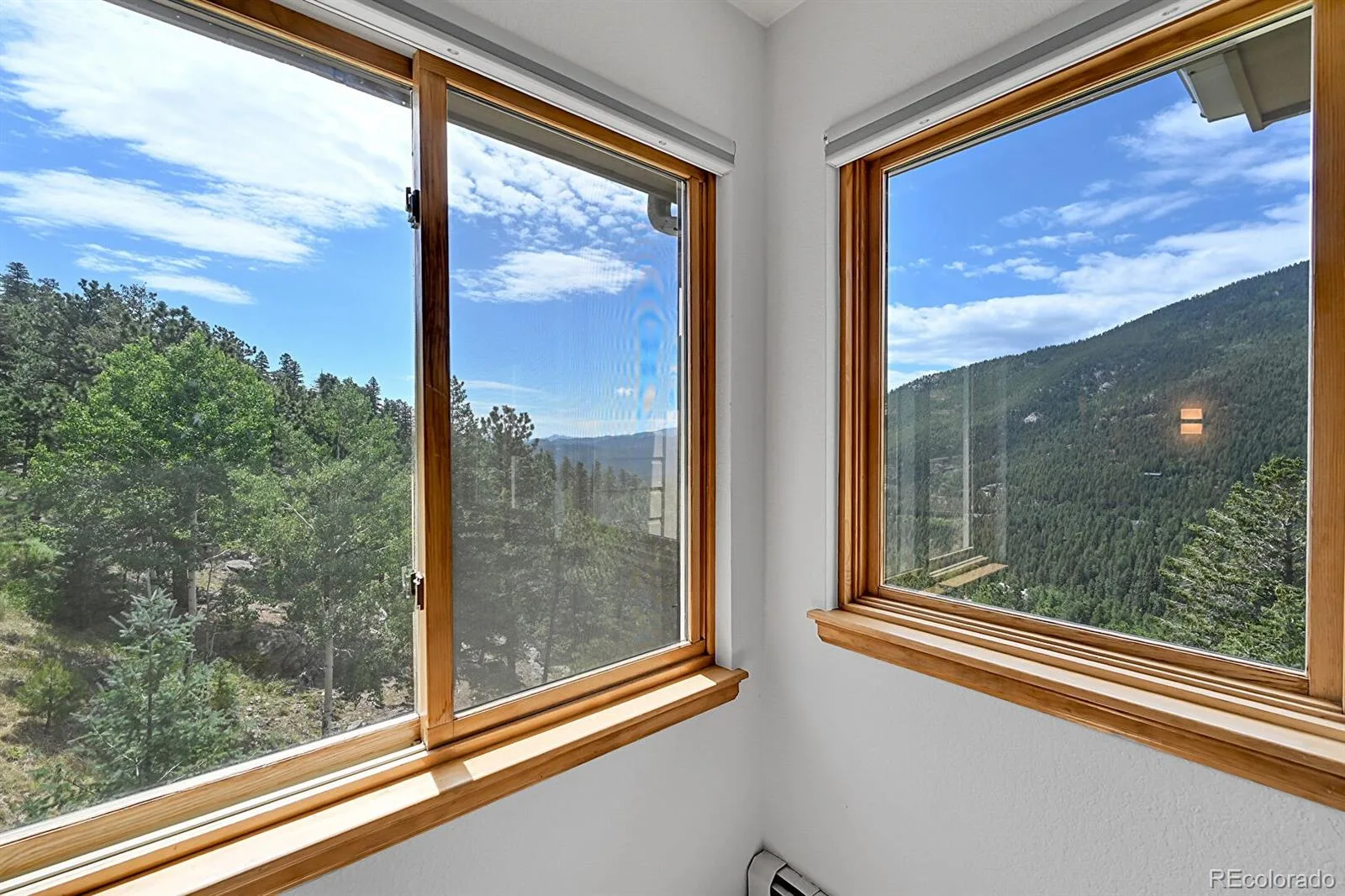 54 Spruce Court Evergreen CO 80439 | MLS #REC3344414 06092026001902 1600 28