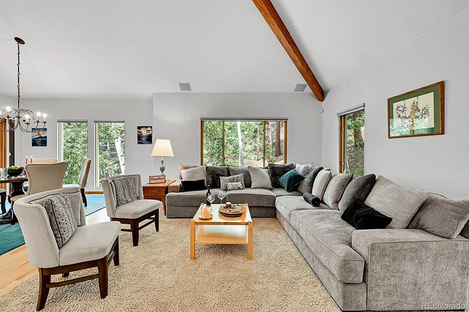 54 Spruce Court Evergreen CO 80439 | MLS #REC3344414 06092026001902 1600 9