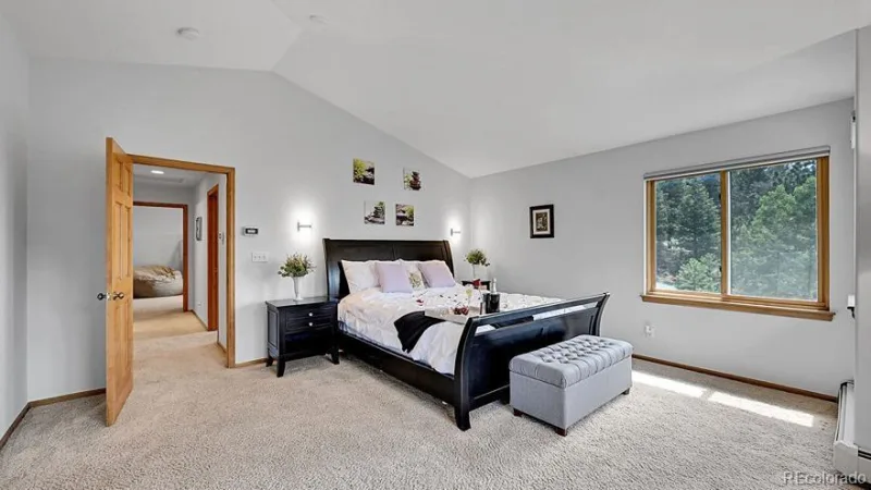 54 Spruce Court Evergreen CO 80439 | MLS #REC3344414 06092026001902 800 26