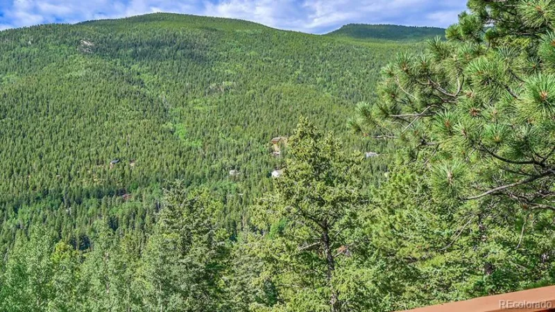 54 Spruce Court Evergreen CO 80439 | MLS #REC3344414 06092026001902 800 39