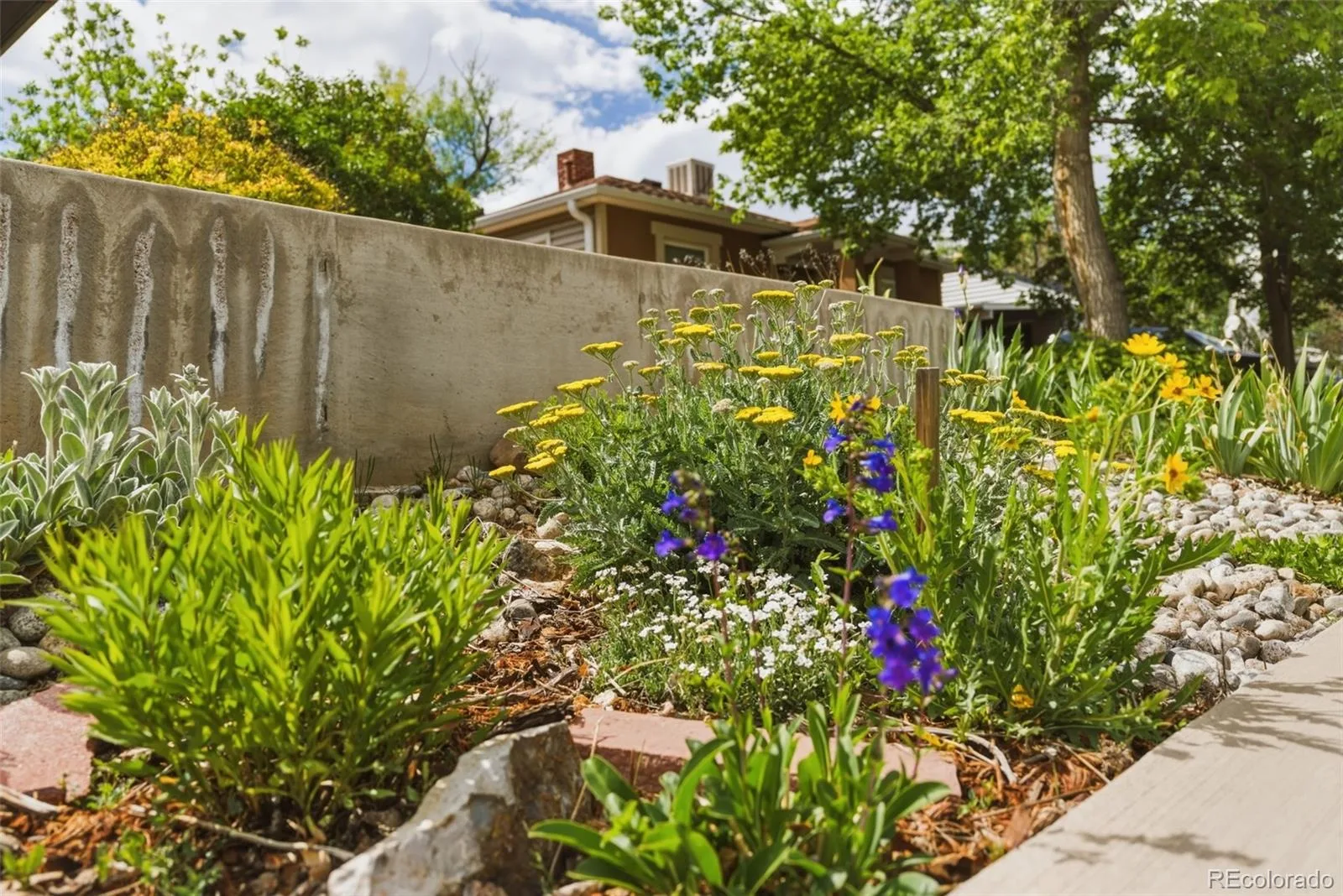 1215 Rosemary Street Denver CO 80220 MLS #REC3347594 06092026010018 1600 37