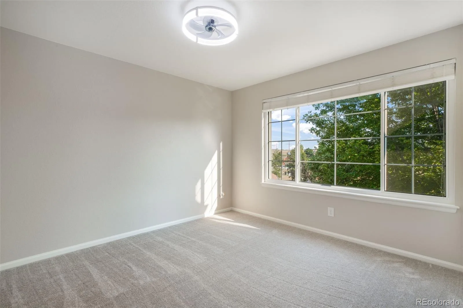 460 High Plains Street Castle Rock CO 80104 | MLS #REC3348405 08082026003059 1600 28