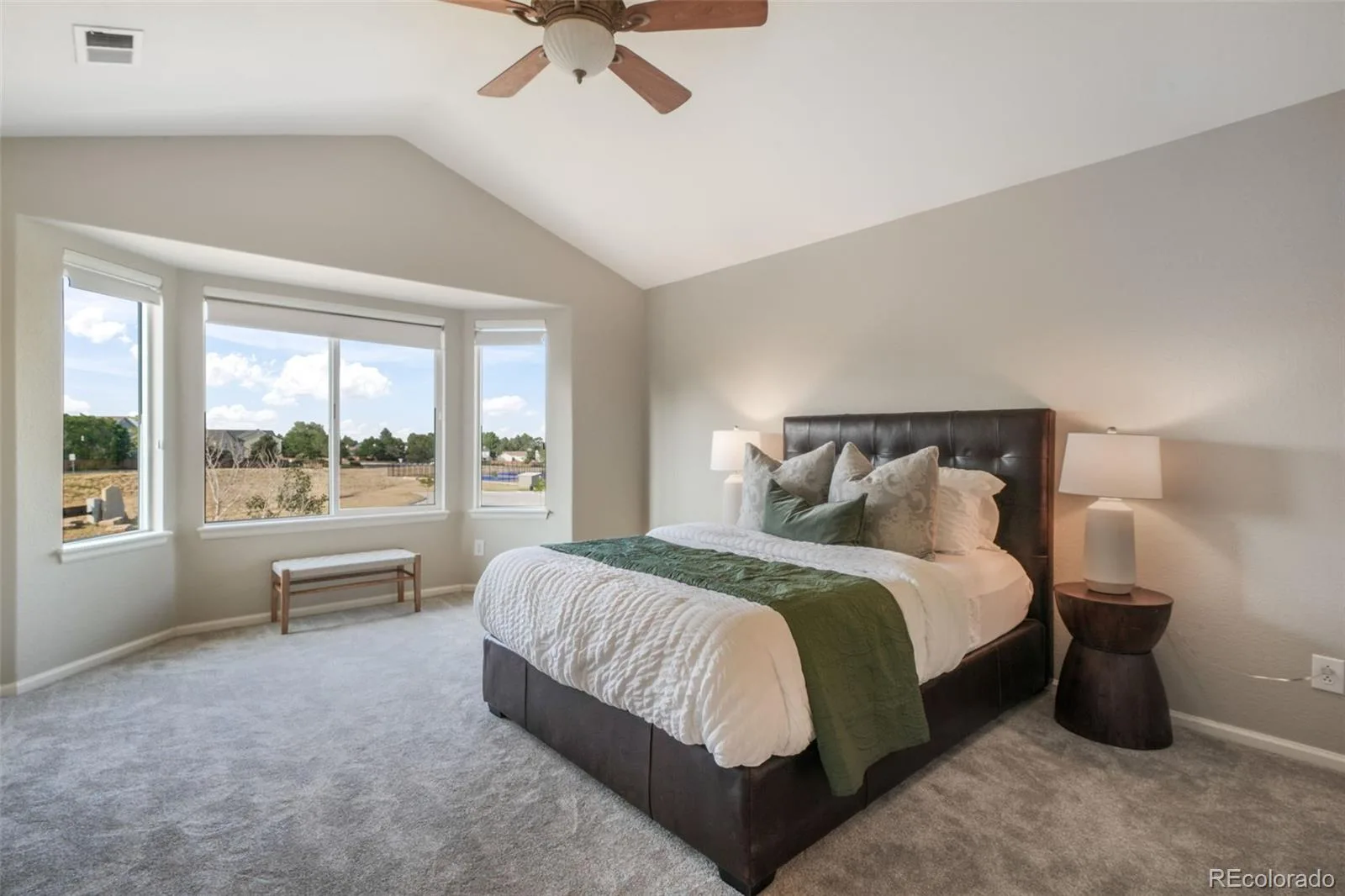 460 High Plains Street Castle Rock CO 80104 | MLS #REC3348405 08082026003059 1600 39