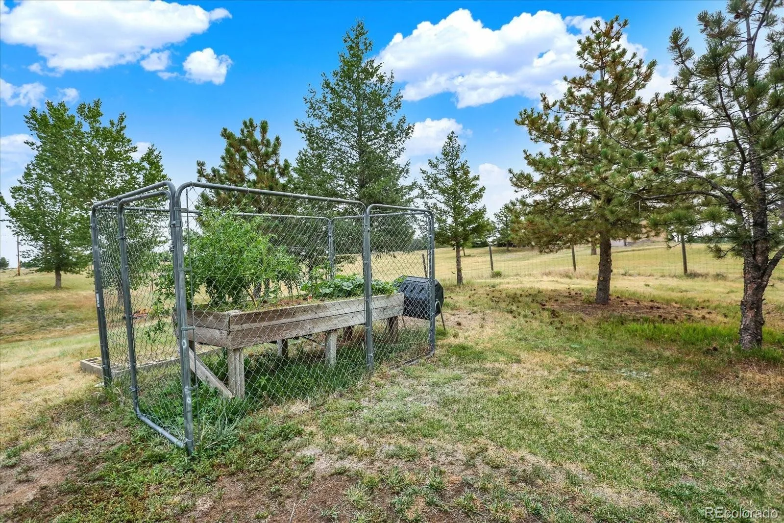 43120 London Drive Parker CO 80138 | MLS #REC3362566 08172026200412 1600 31