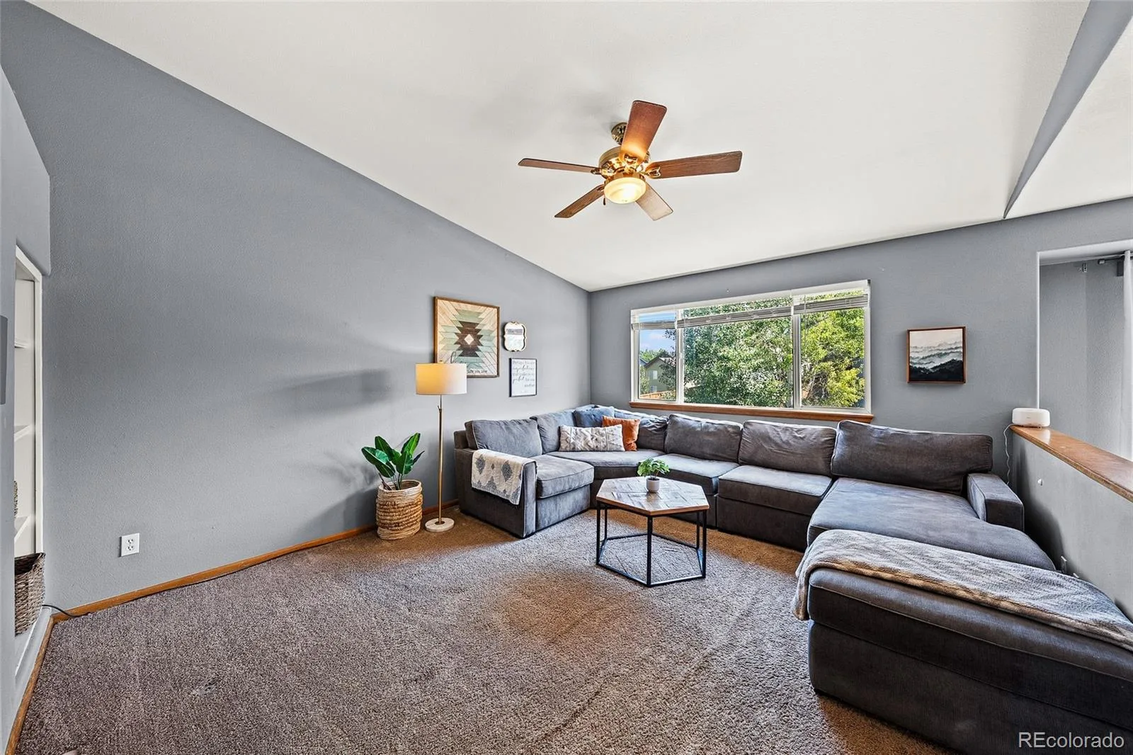 3519 Morning Glory Drive Castle Rock CO 80109 | MLS #REC3363821 07232026191707 1600 14