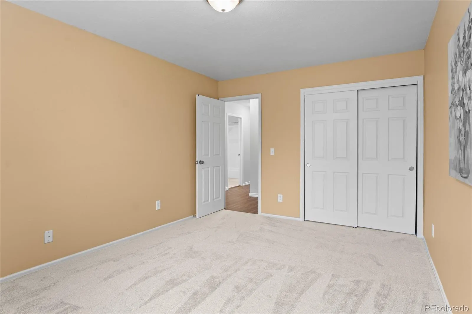 3737 S Walden Street Aurora CO 80013 MLS #REC3365833 05022026055840 1600 30