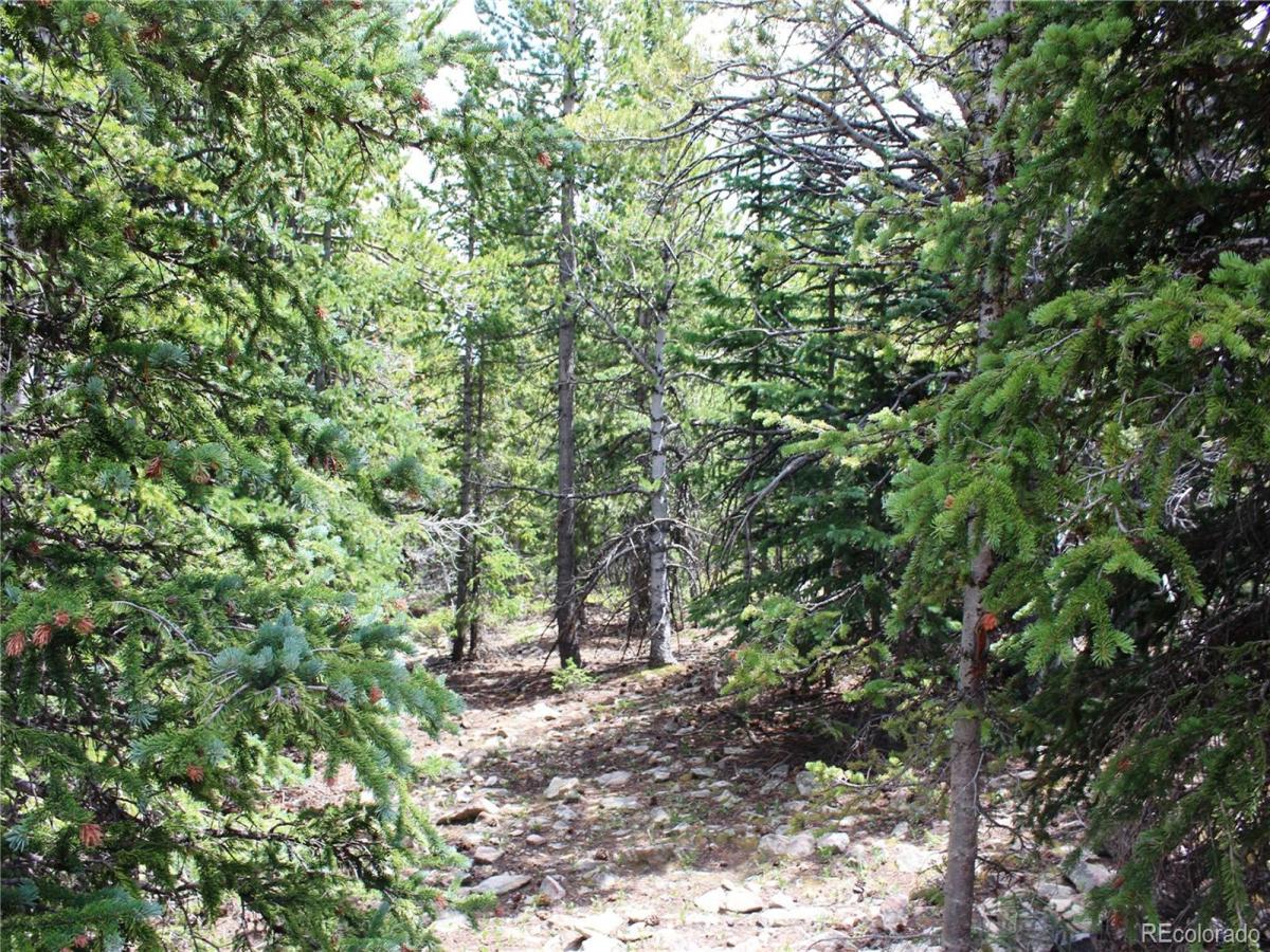 MLS #REC3371902 image #0