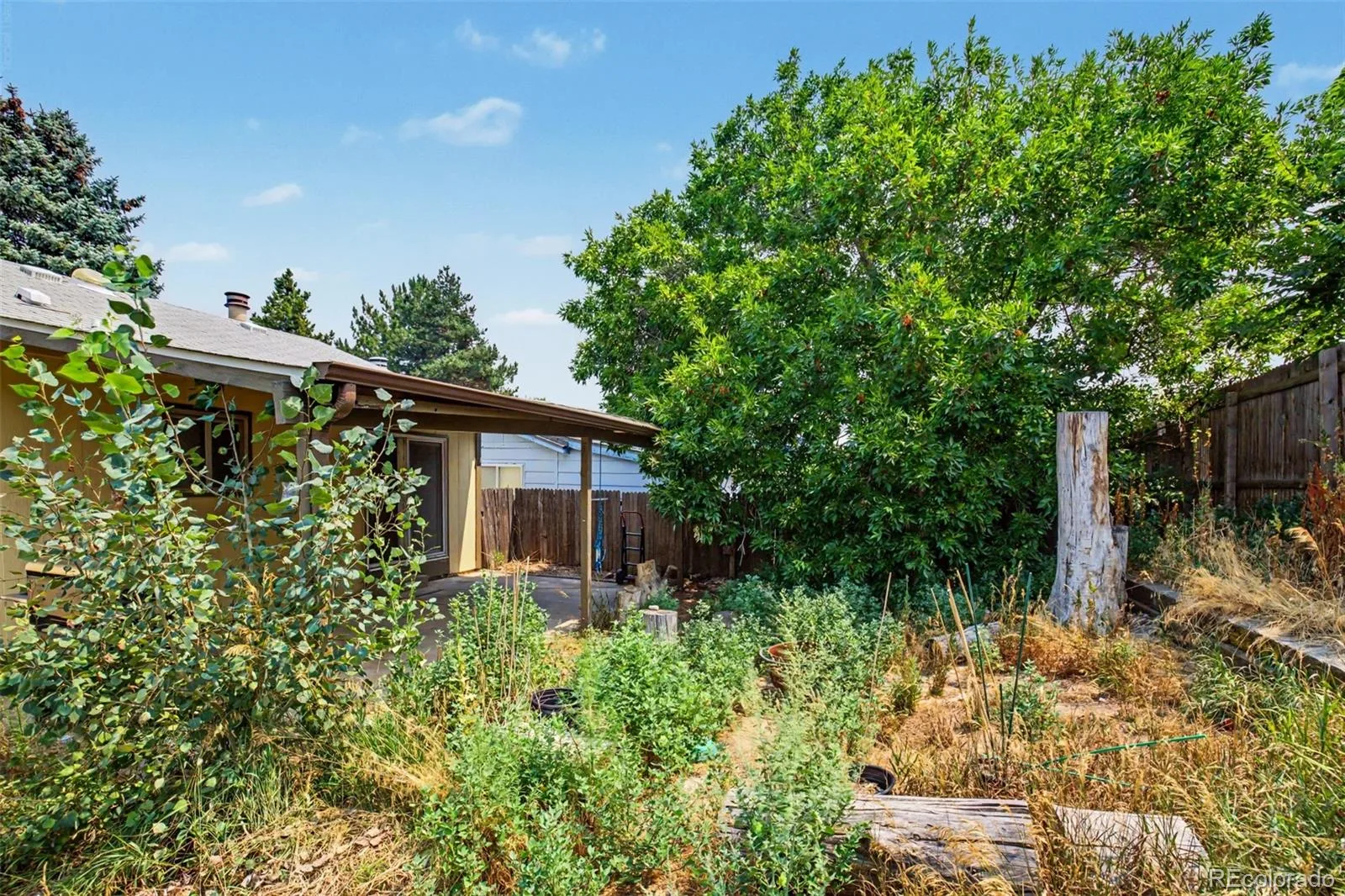 15418 E Oxford Avenue Aurora CO 80013 | MLS #REC3378951 08072026025746 1600 15