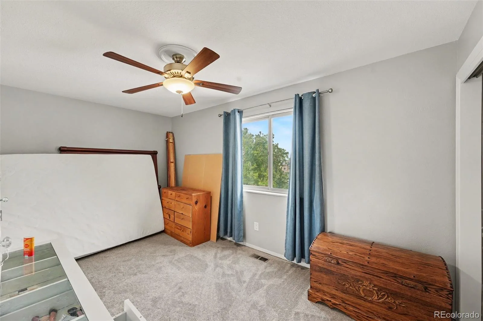 5600 S Queen Street Littleton CO 80127 | MLS #REC3381597 08052026225007 1600 18