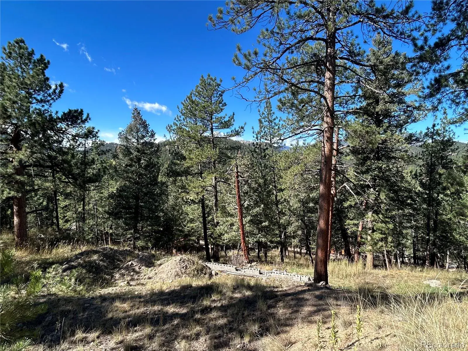 Pine Road Evergreen CO 80439 | MLS #REC3384914 02112026145412 1600 1