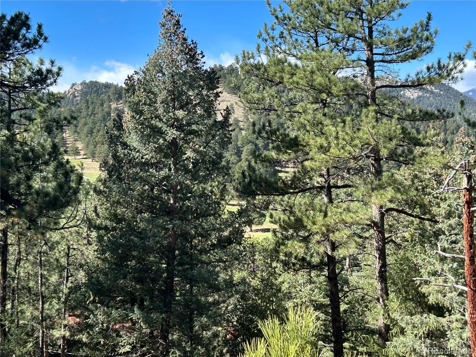 Pine Road Evergreen CO 80439 | MLS #REC3384914 02112026145412 1600 2