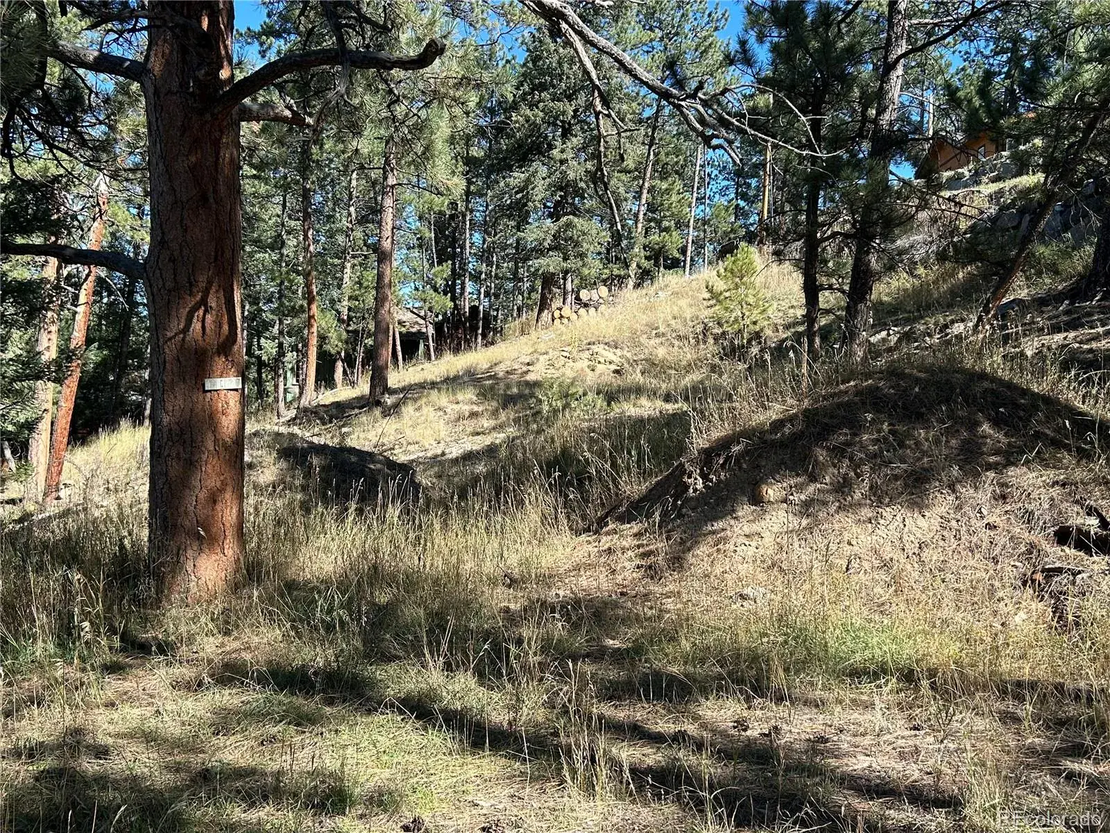 Pine Road Evergreen CO 80439 | MLS #REC3384914 02112026145412 1600 3