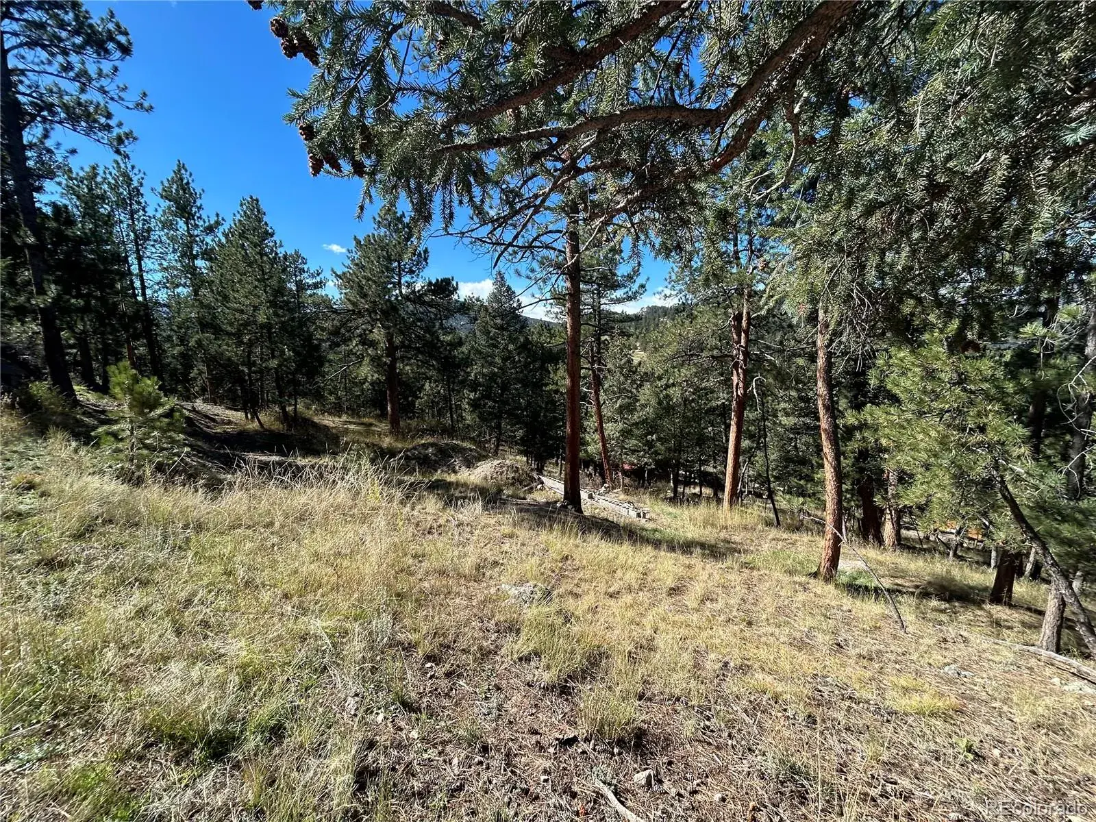 Pine Road Evergreen CO 80439 | MLS #REC3384914 02112026145412 1600 4