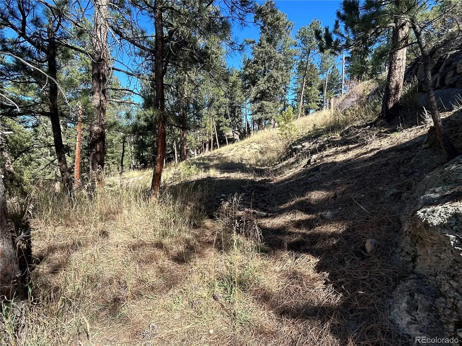 Pine Road Evergreen CO 80439 | MLS #REC3384914 02112026145412 1600 6