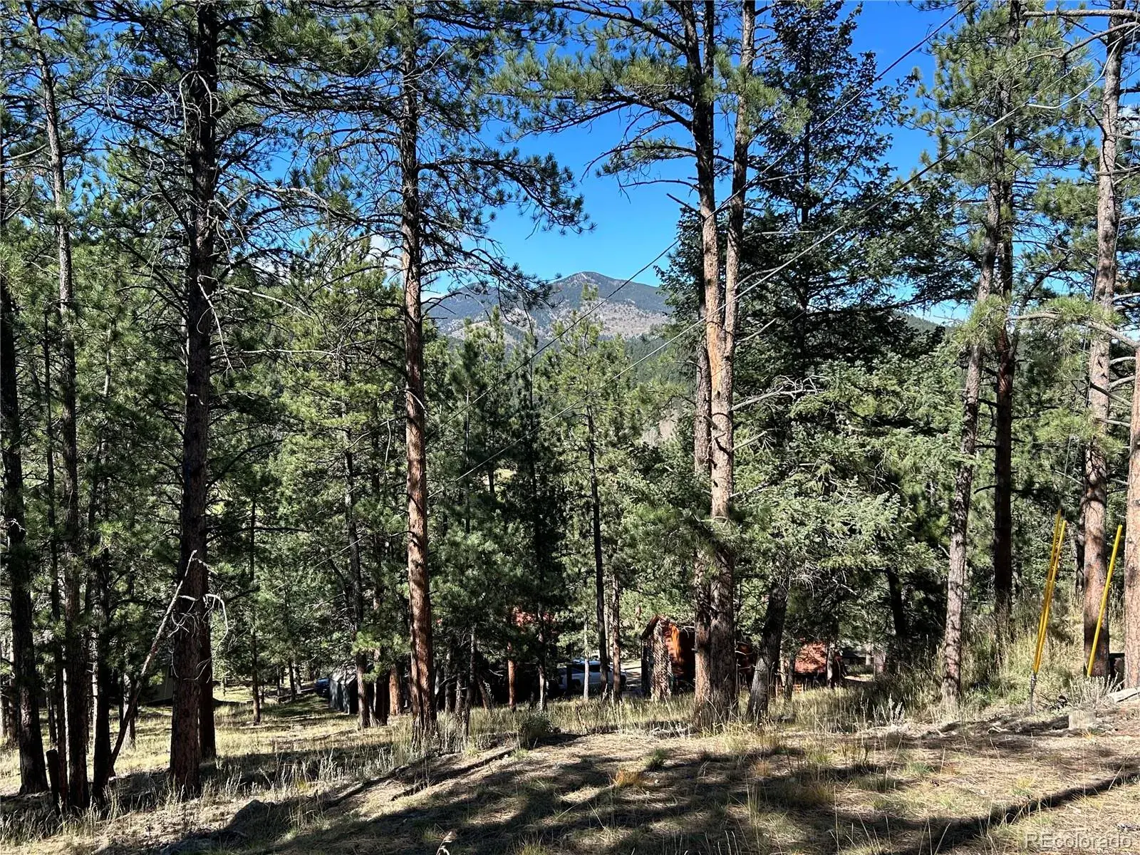 Pine Road Evergreen CO 80439 | MLS #REC3384914 02112026145412 1600 7