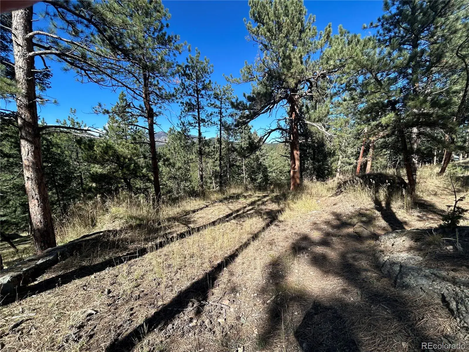 Pine Road Evergreen CO 80439 | MLS #REC3384914 02112026145412 1600 8