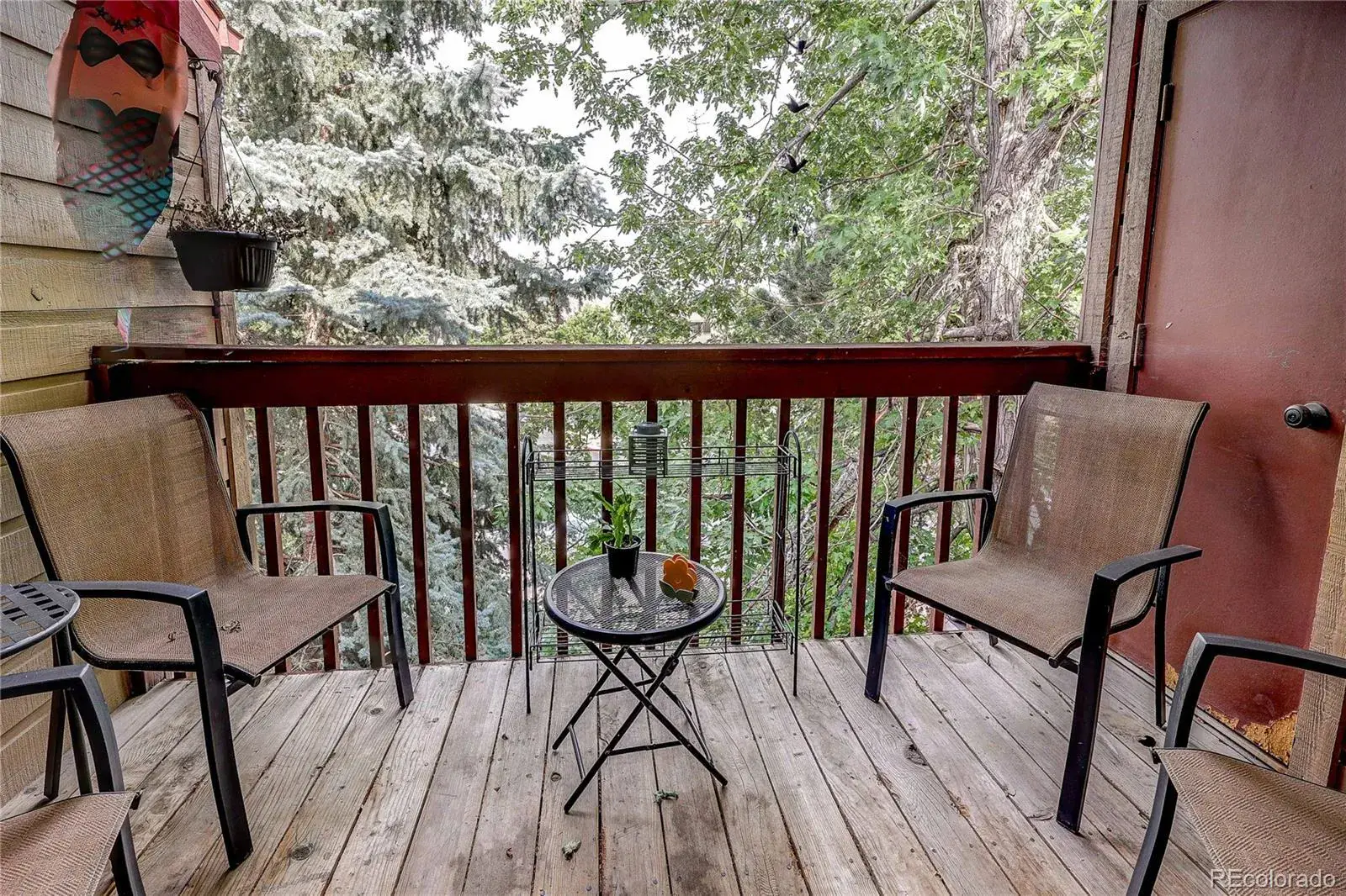 222 Wright Street #303 Lakewood CO 80228 MLS #REC3395558 07242025184211 1600 20