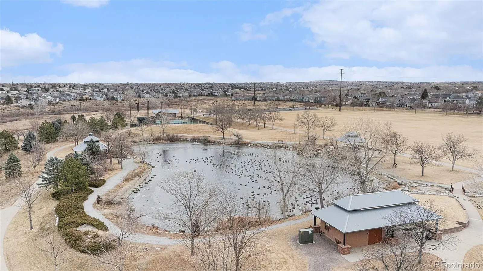 9229 Aspen Creek Way Highlands Ranch CO 80129 MLS #REC3399327 02272026232954 1600 44