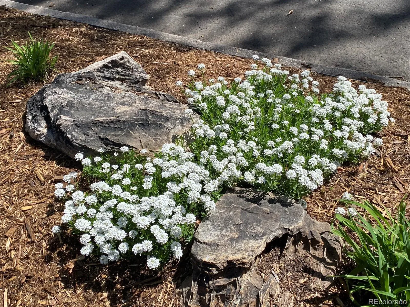 03192026221950 1600 44