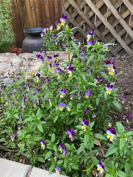 03192026221950 800 45