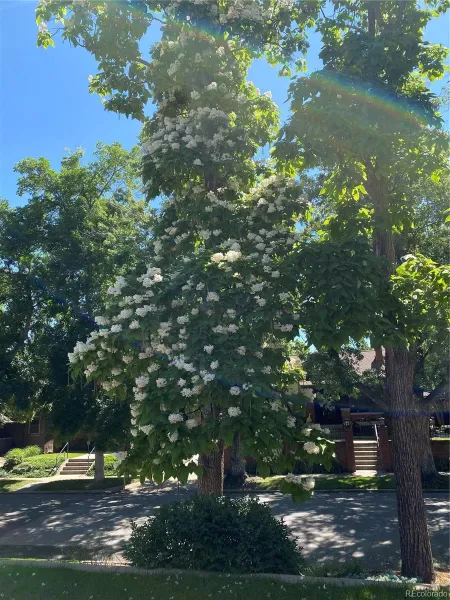 03192026221950 800 46