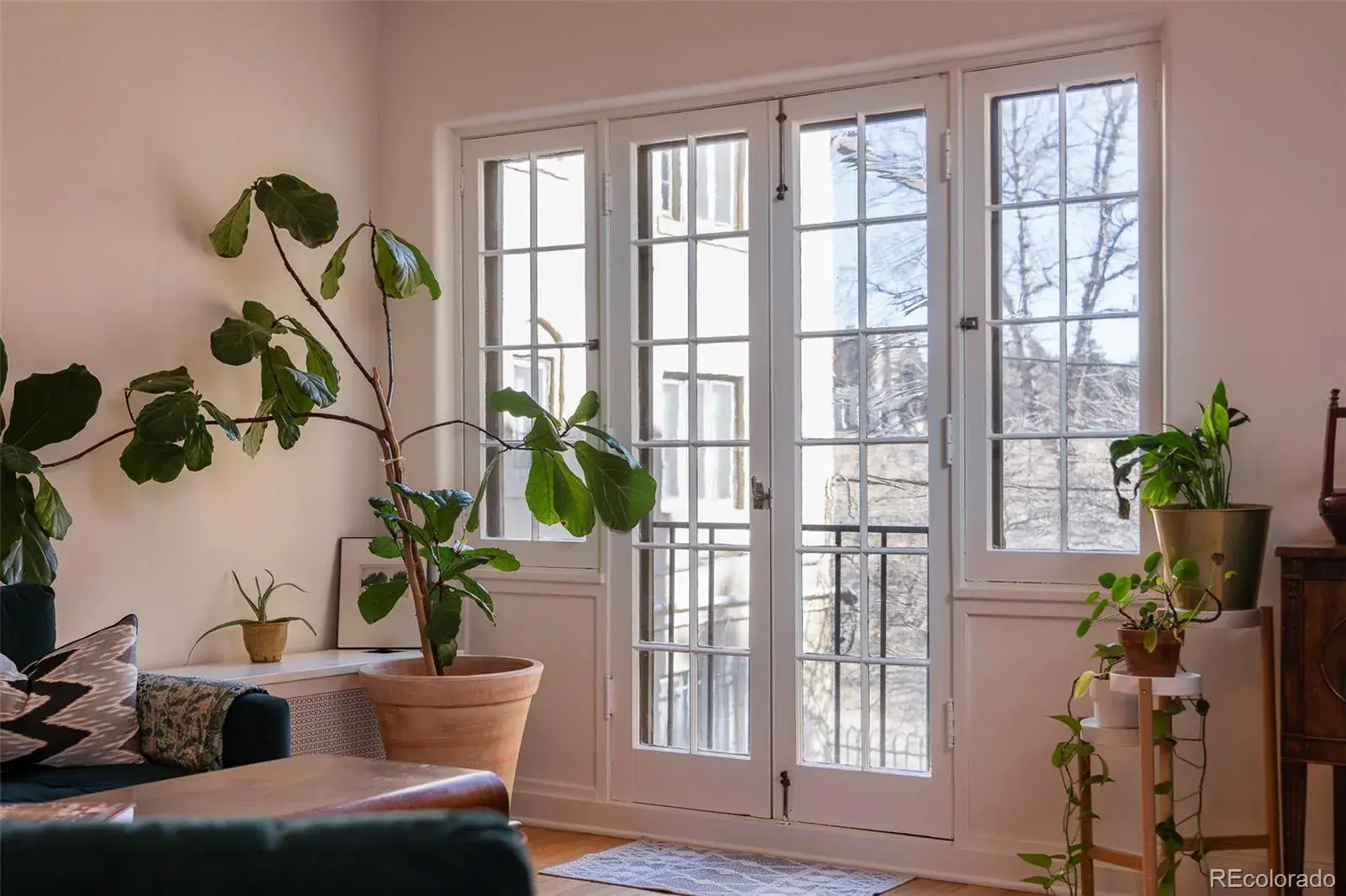 02072026043519 1600 6