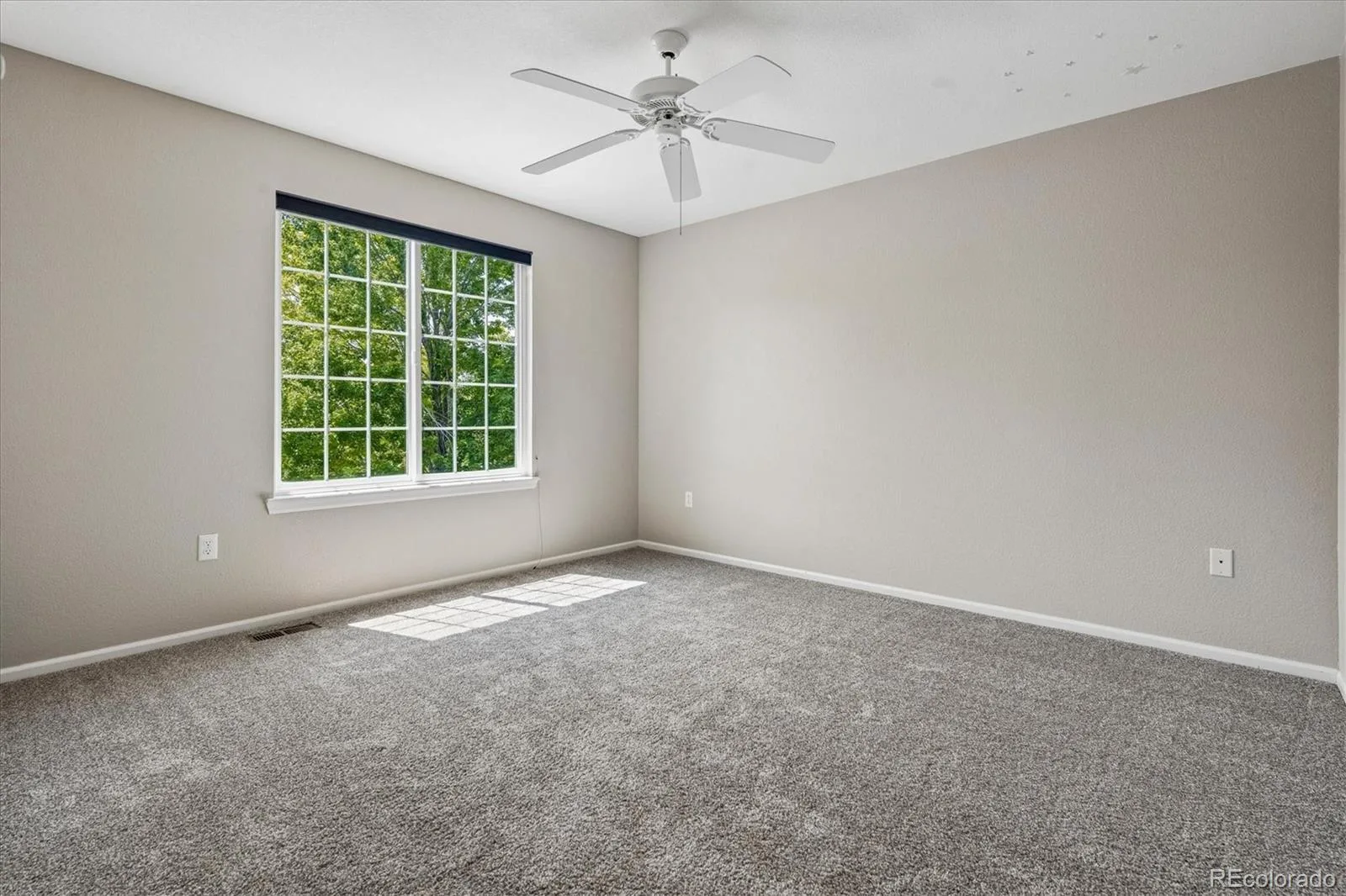 5175 Buena Vista Boulevard Castle Rock CO 80109 | MLS #REC3409926 08262026161809 1600 31