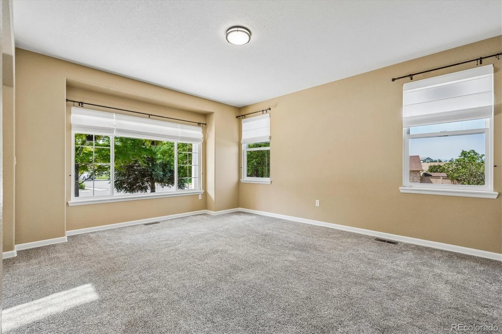 5175 Buena Vista Boulevard Castle Rock CO 80109 | MLS #REC3409926 08262026161809 1600 7