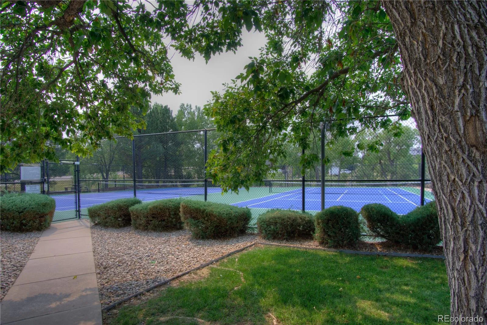 5556 S Simms Way Littleton CO 80127 | MLS #REC3410573 08062026185510 1600 34