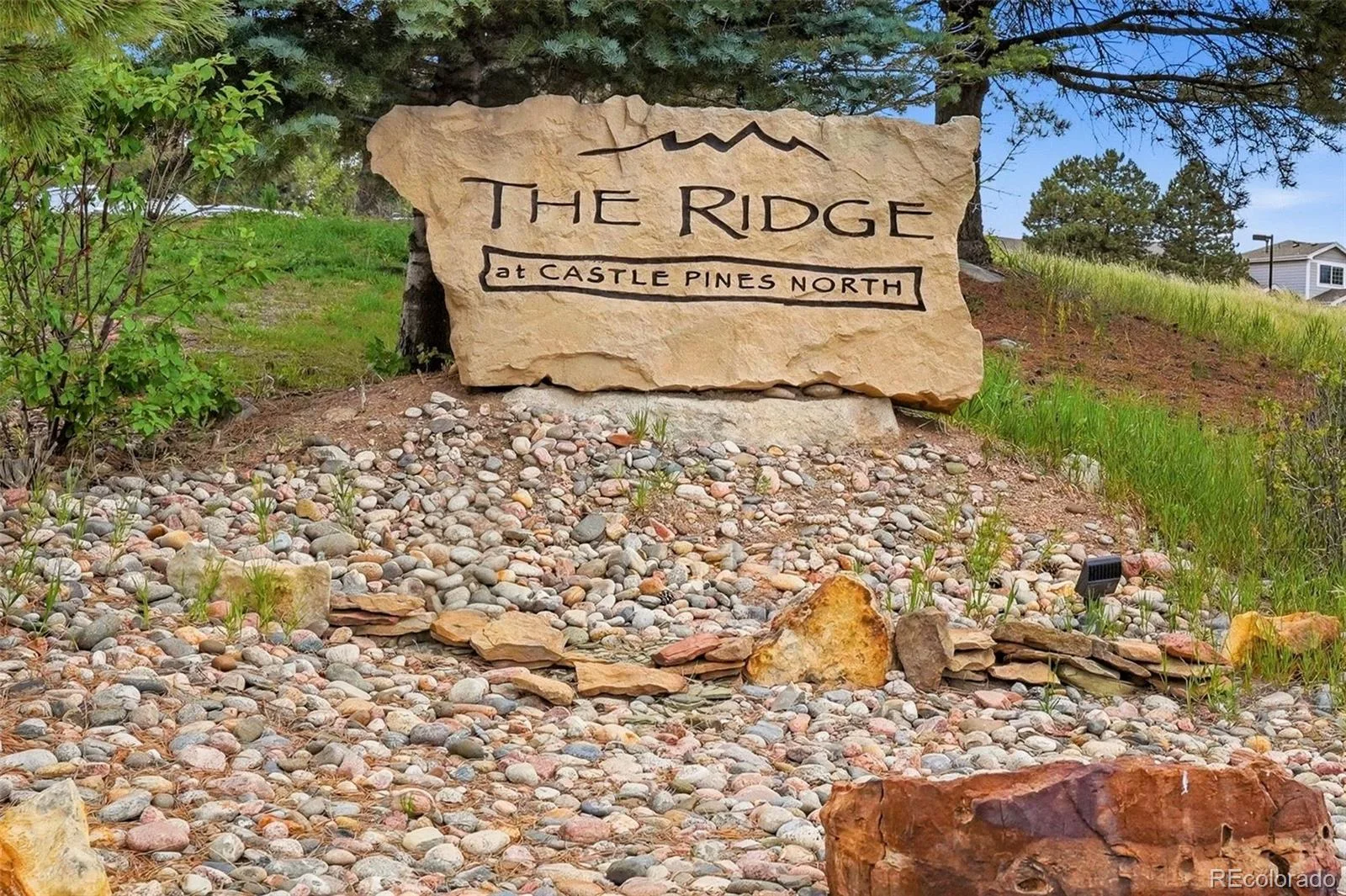 990 Glen Oaks Avenue Castle Pines CO 80108 MLS #REC3417060 06242026230020 1600 36