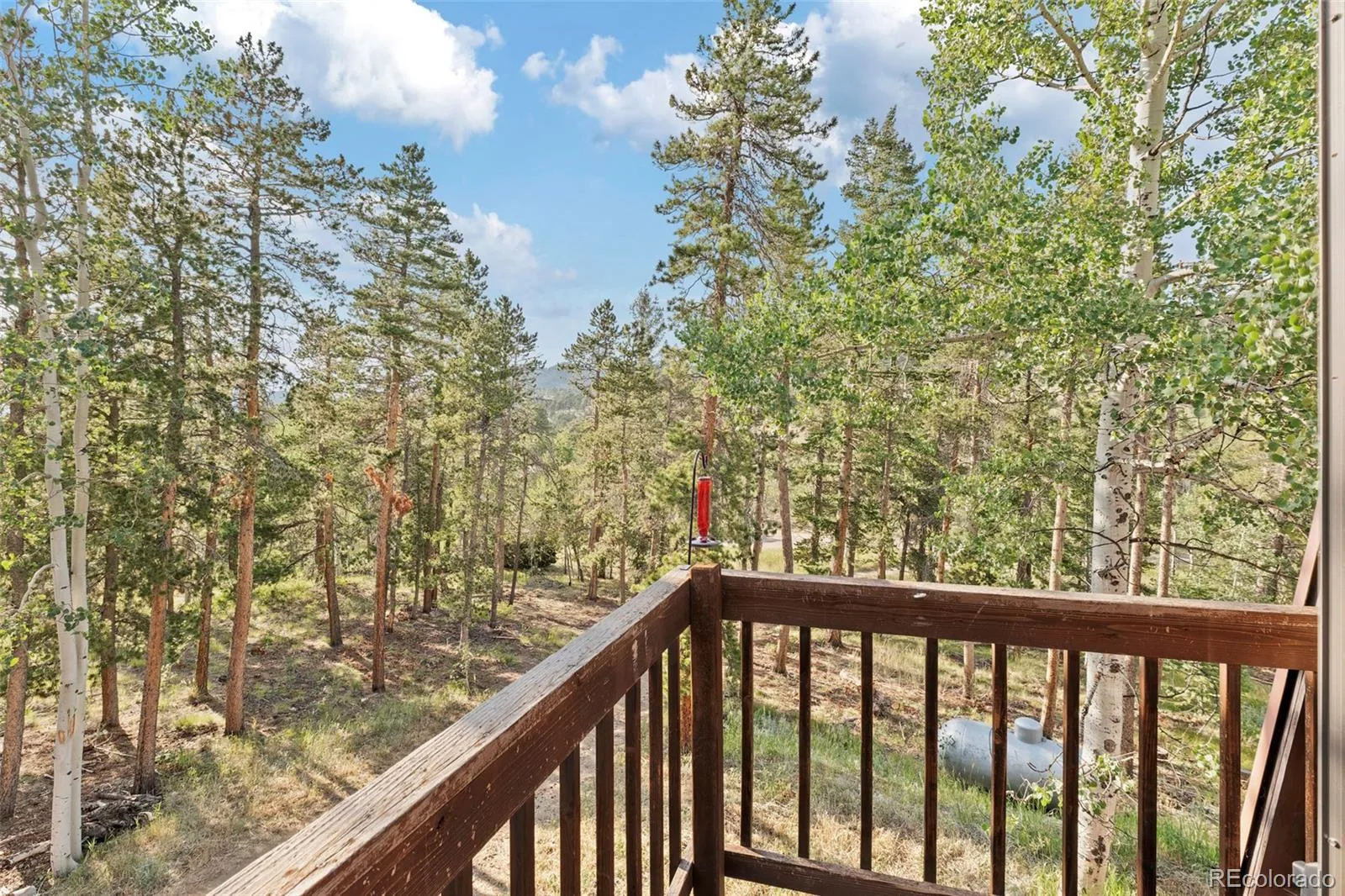 100 Raptor Point Road Golden CO 80403 | MLS #REC3420228 07232026151732 1600 24