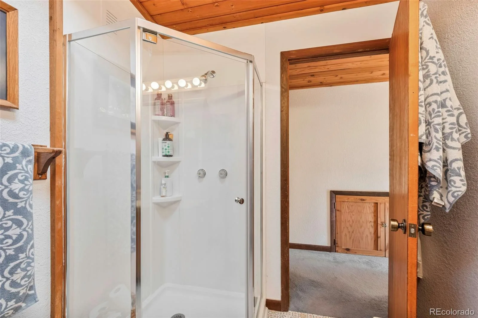 100 Raptor Point Road Golden CO 80403 | MLS #REC3420228 07232026151732 1600 26