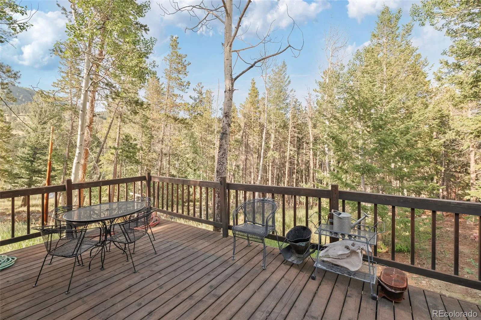 100 Raptor Point Road Golden CO 80403 | MLS #REC3420228 07232026151732 1600 30