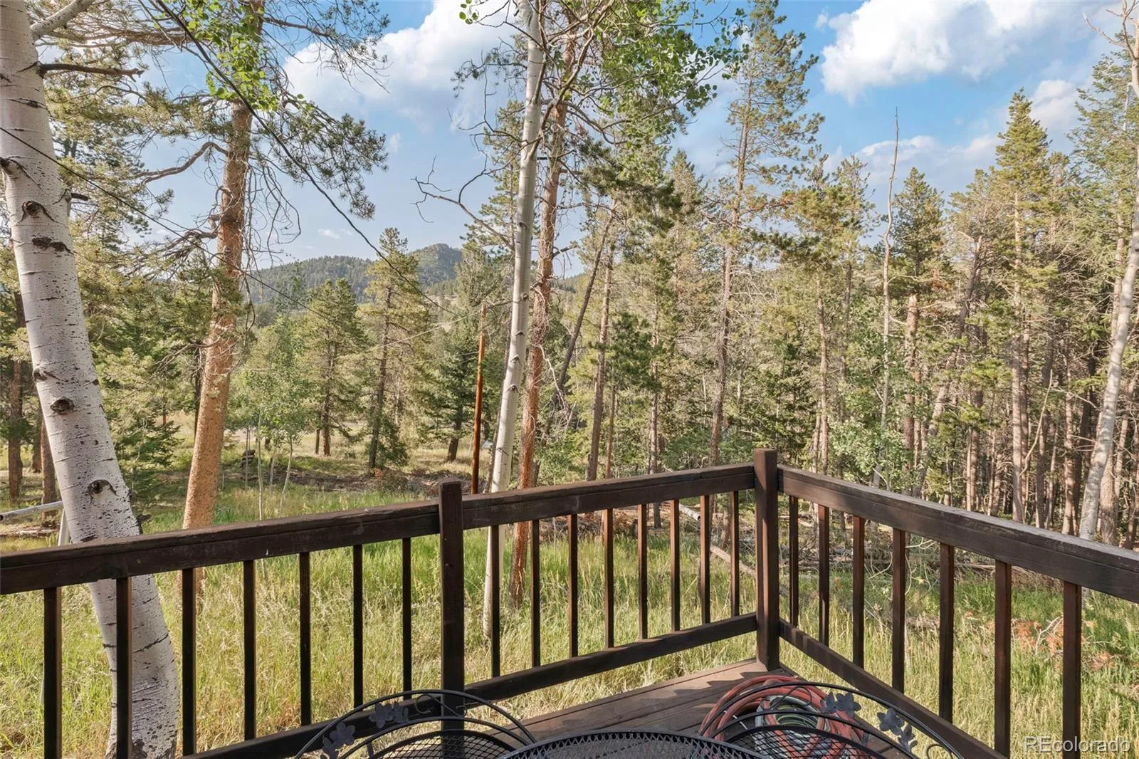 100 Raptor Point Road Golden CO 80403 | MLS #REC3420228 07232026151732 1600 31