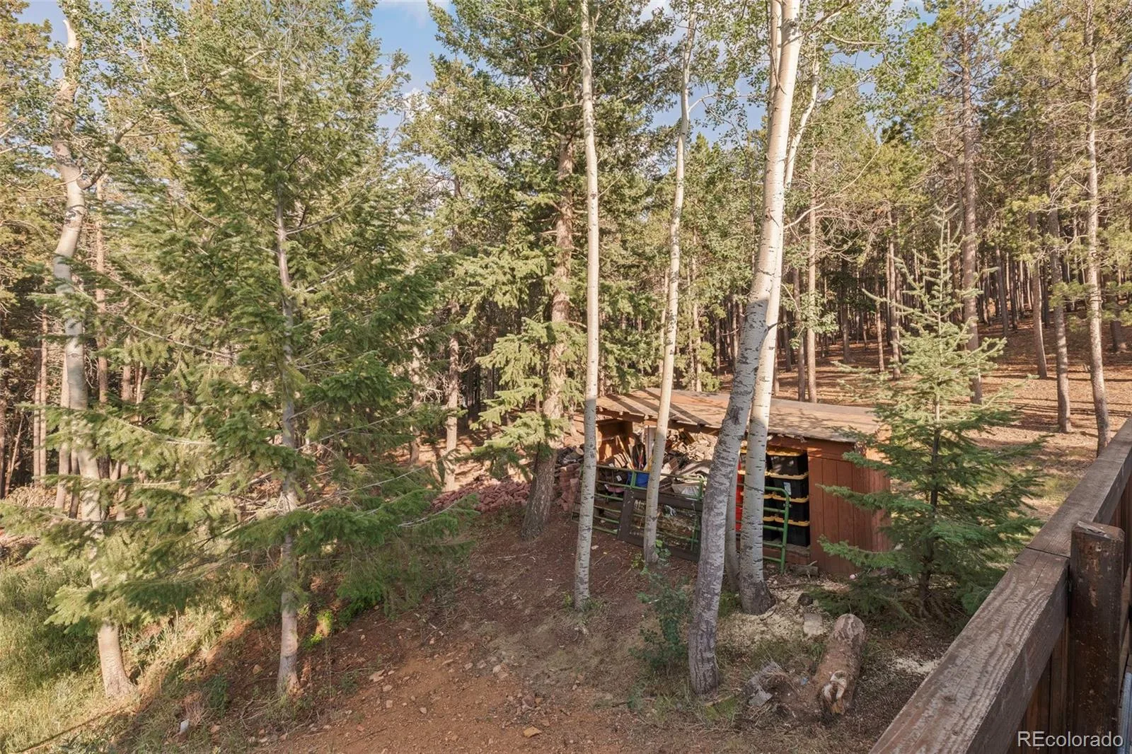 100 Raptor Point Road Golden CO 80403 | MLS #REC3420228 07232026151732 1600 32
