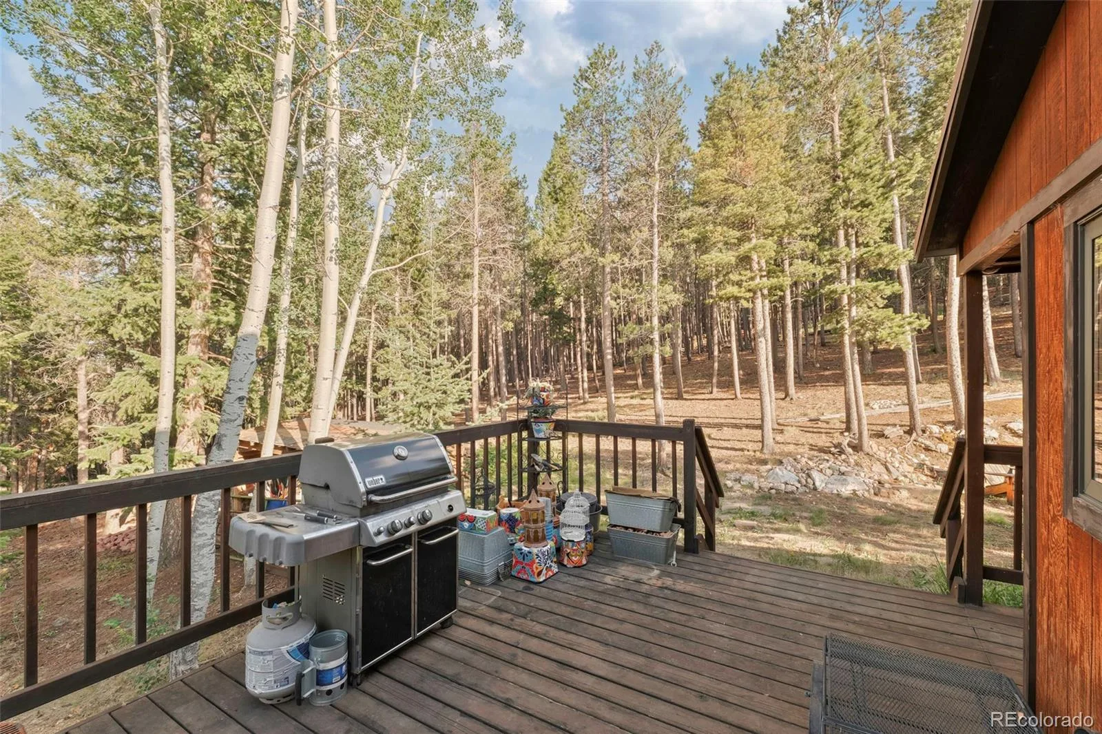 100 Raptor Point Road Golden CO 80403 | MLS #REC3420228 07232026151732 1600 33