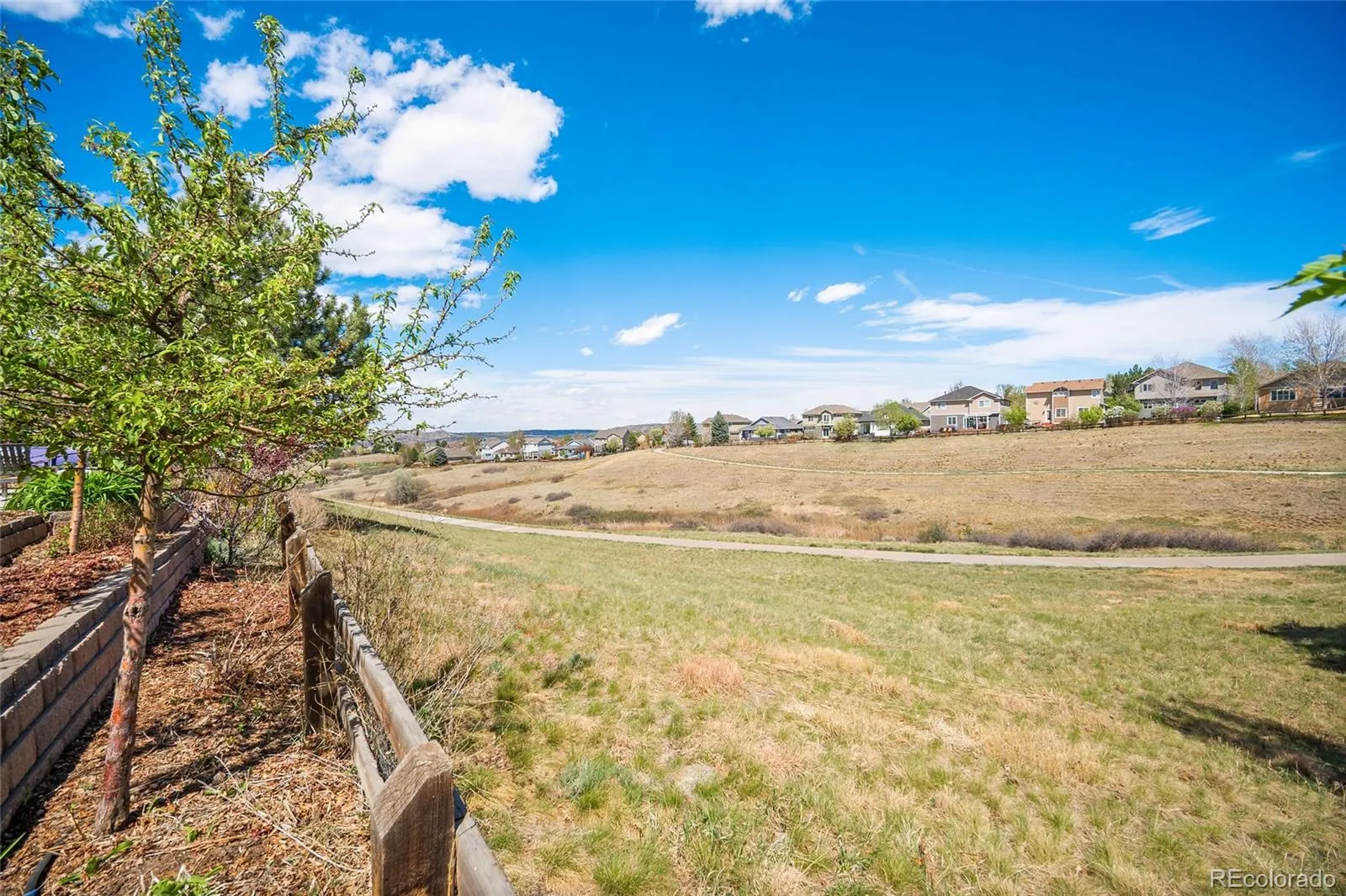 2310 Woodhouse Lane Castle Rock CO 80109 MLS #REC3420670 04242026135102 1600 39