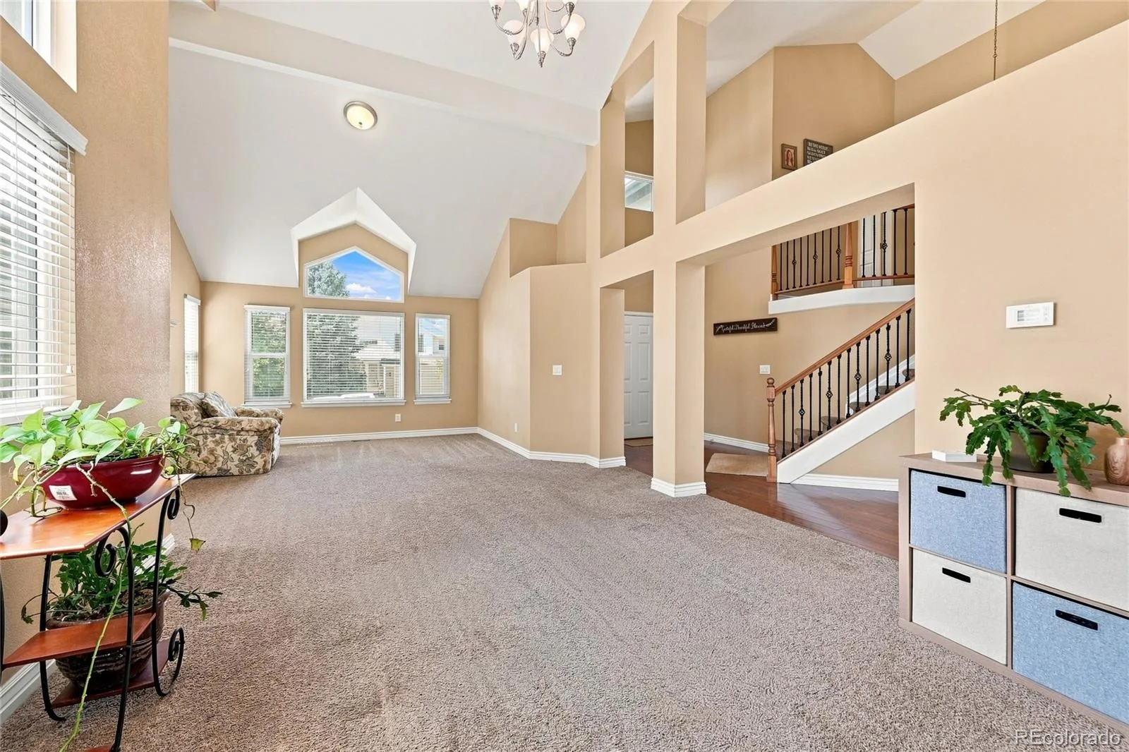 6504 S Wright Street Littleton CO 80127 | MLS #REC3426236 08302026225626 1600 3