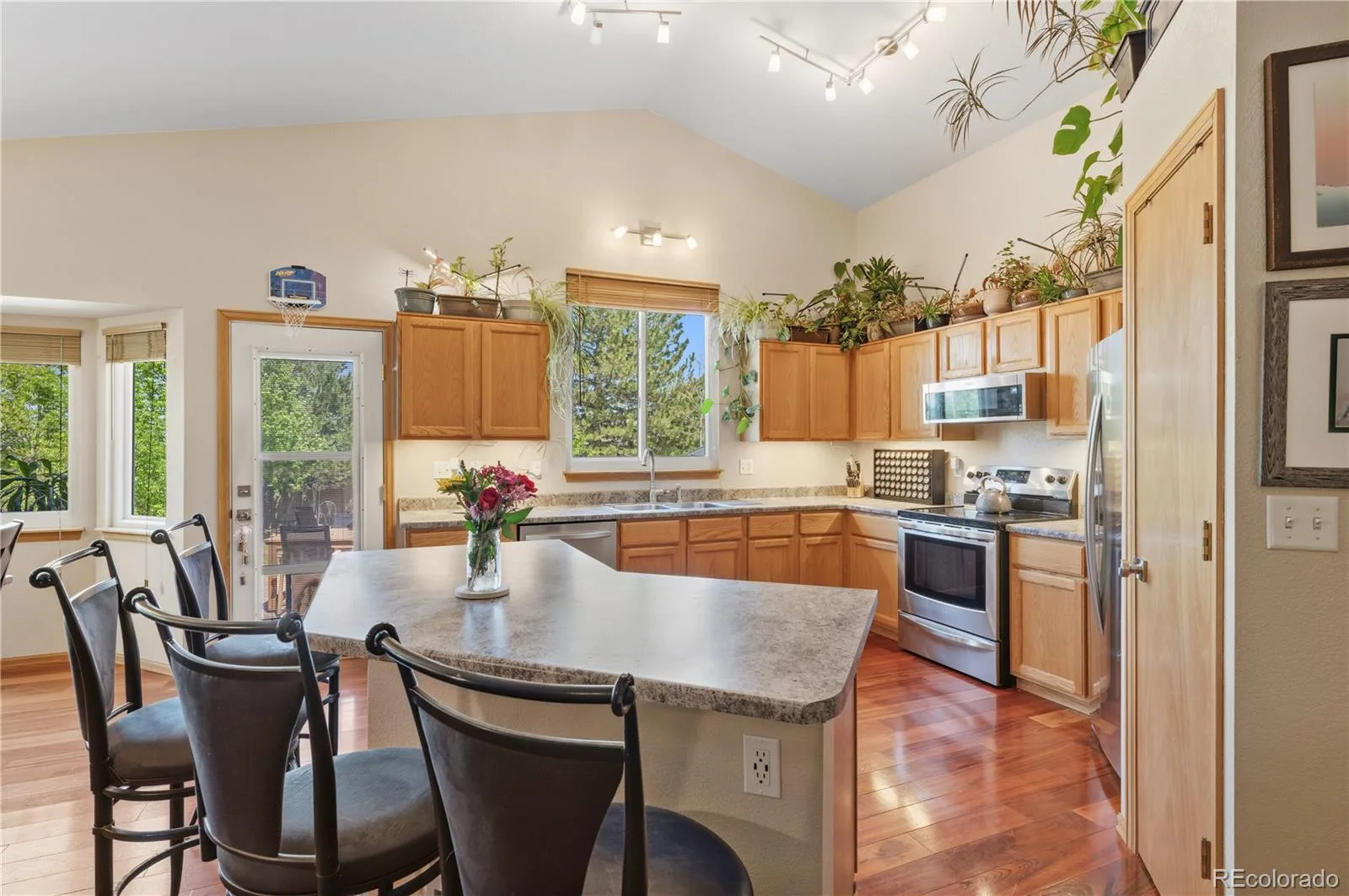 79 Red Oak Court Erie CO 80516 | MLS #REC3428814 06092026010406 1600 11