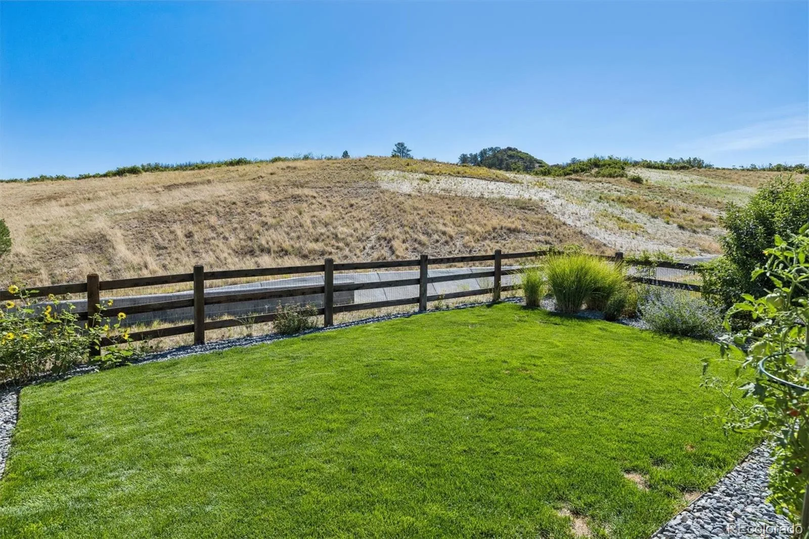 487 Scrubjay Circle Castle Rock CO 80104 | MLS #REC3429177 08202026183855 1600 39